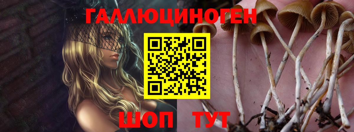 Анапа  Псилоцибиновые грибы мухоморы  Псилоцибиновые грибы Psilocybe  Вход с VPN 